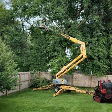 Best Tree Trimming and Pruning  in Hopkinsville, KY